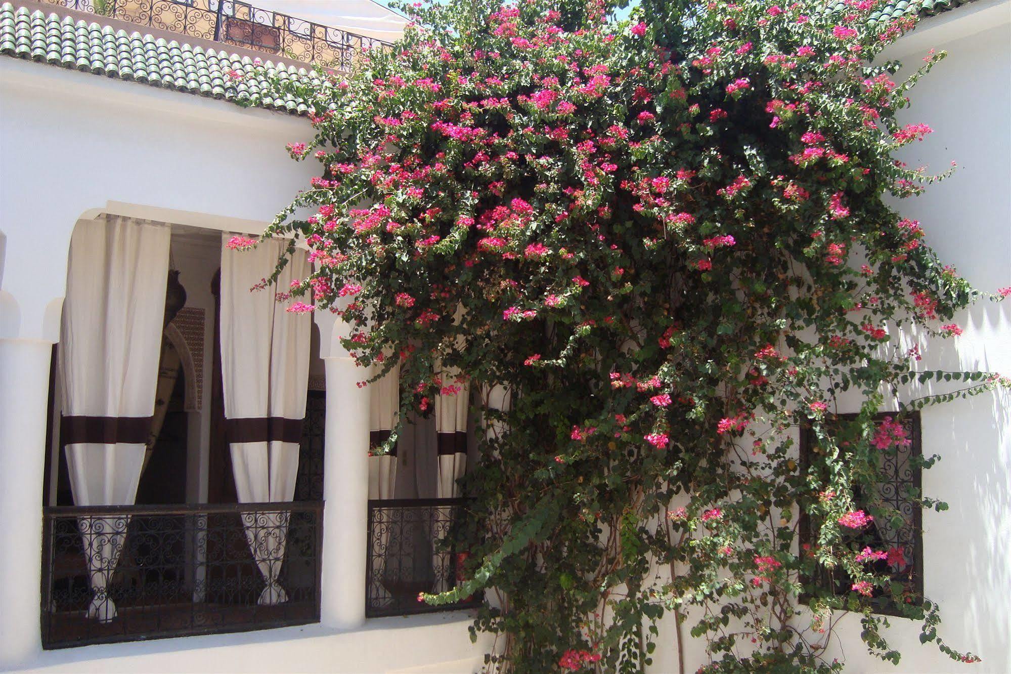 Riad Noor Charana มาร์ราเกช ภายนอก รูปภาพ
